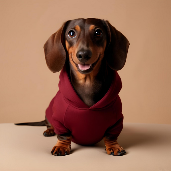 Cherry Paw